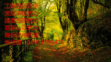 北京旅行社辦理要求與咨詢(xún)服務(wù)指南