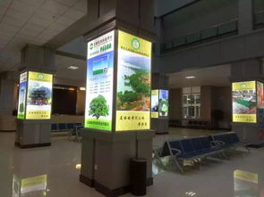 青海西寧雄盛燈箱廠(chǎng) 以品質(zhì)與誠(chéng)信點(diǎn)亮旅游服務(wù)新篇章